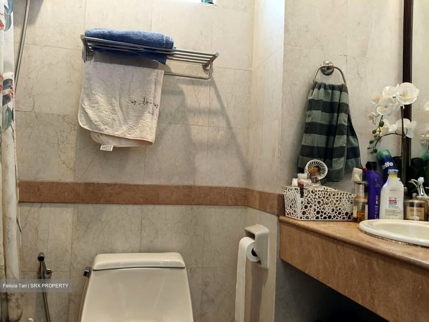 Tanglin Regency (D10), Condominium #581907521